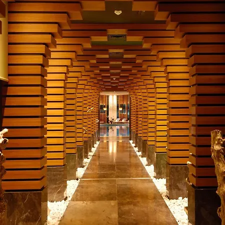 فندق ريجنوم كاريا 5*